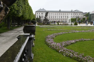 DSC_6132 (Large).JPG